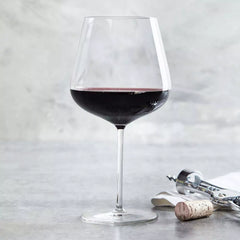 Schott Zwiesel Vervino Soft Red Wine Glasses